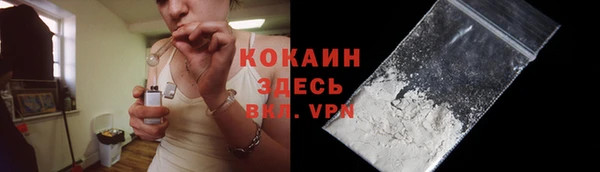 прущие грибы Баксан