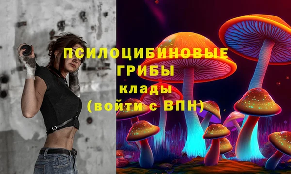 мяу мяу мука Белоозёрский