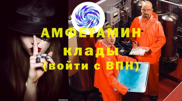 прущие грибы Баксан