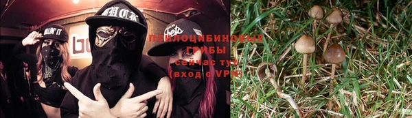 ГАЛЛЮЦИНОГЕННЫЕ ГРИБЫ Балахна